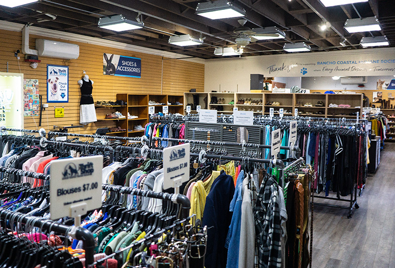 Thrift Shop-racks